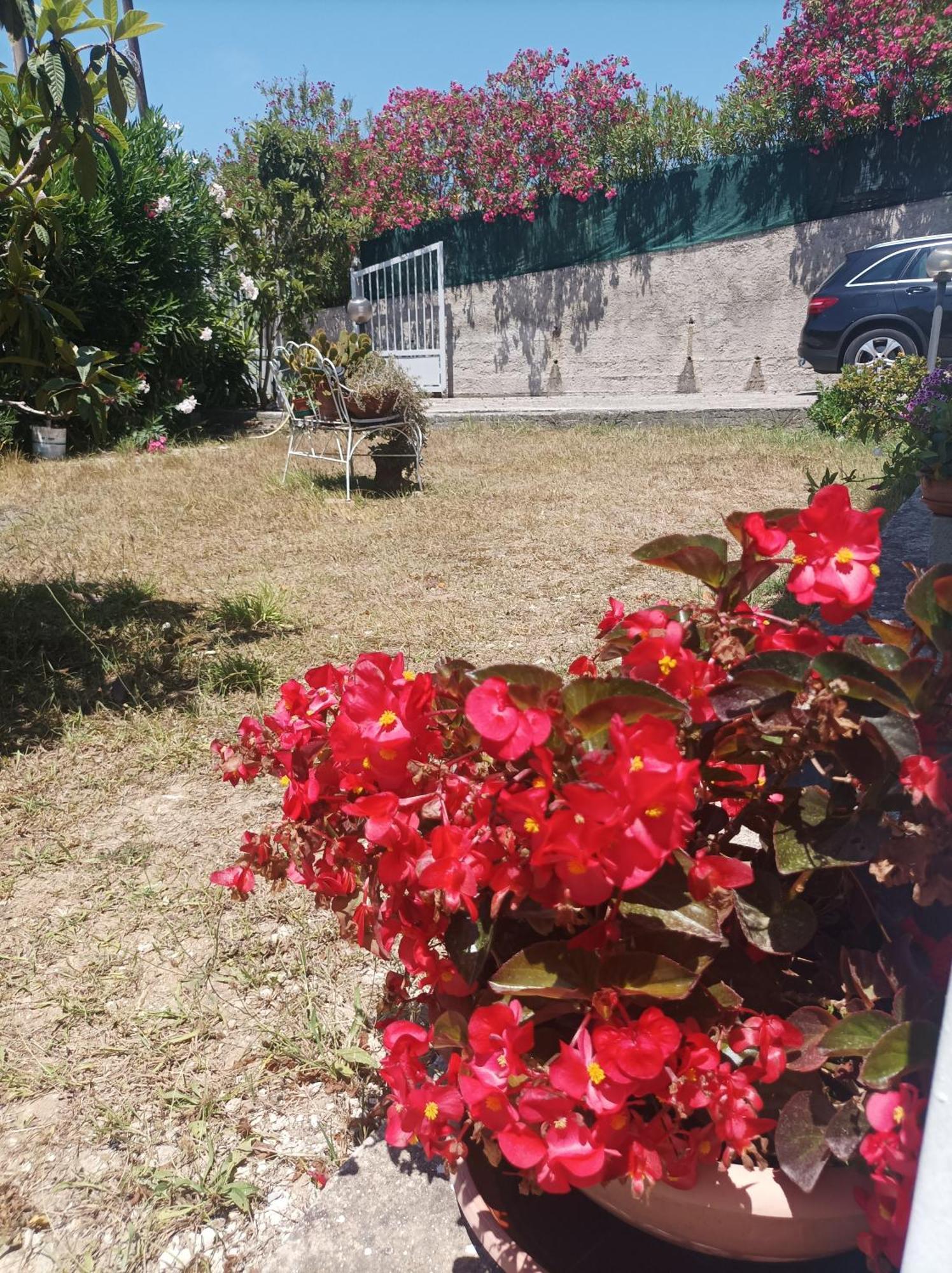 Villa Giardino Degli Oleandri Palinuro Kültér fotó