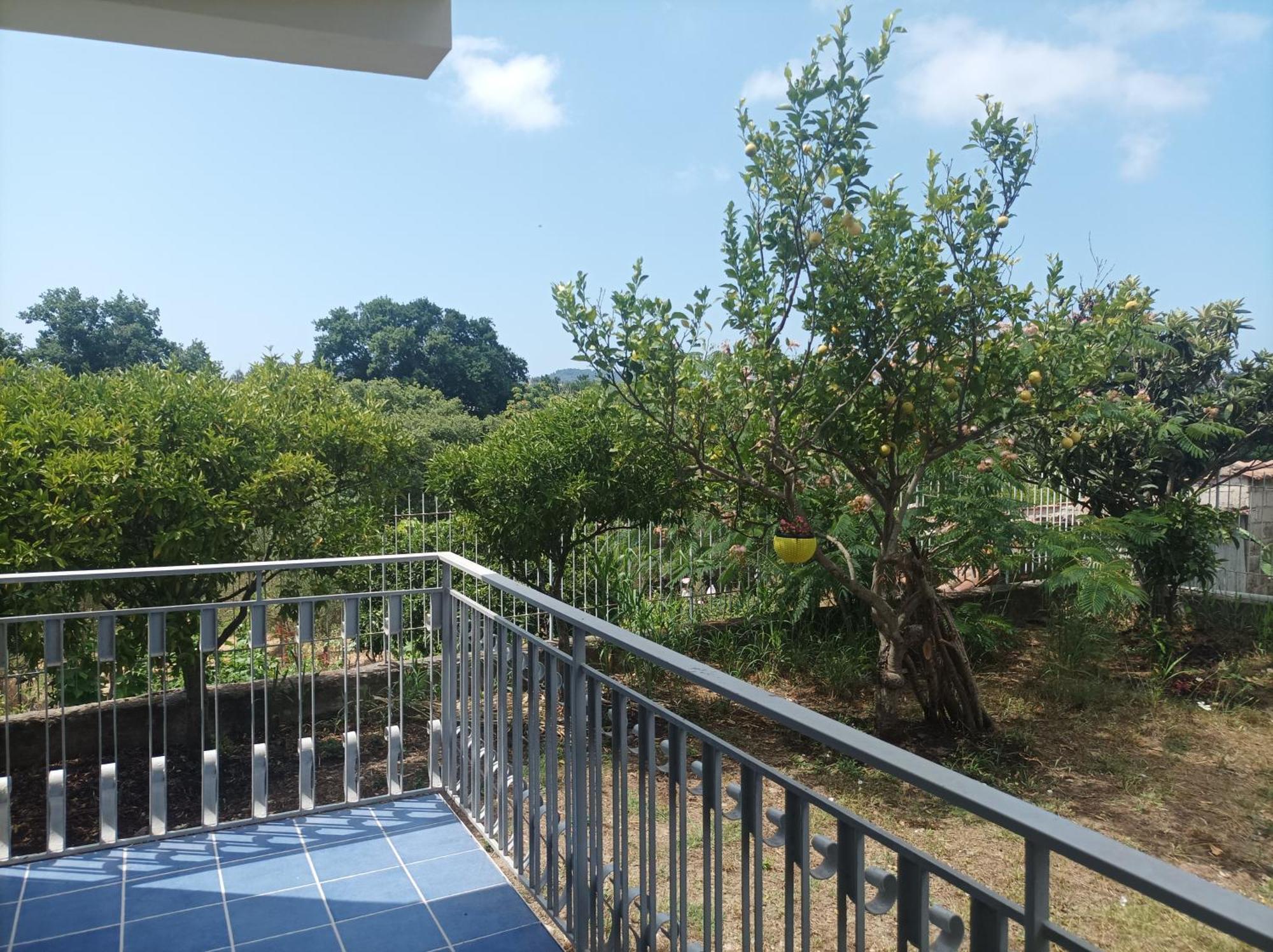 Villa Giardino Degli Oleandri Palinuro Kültér fotó