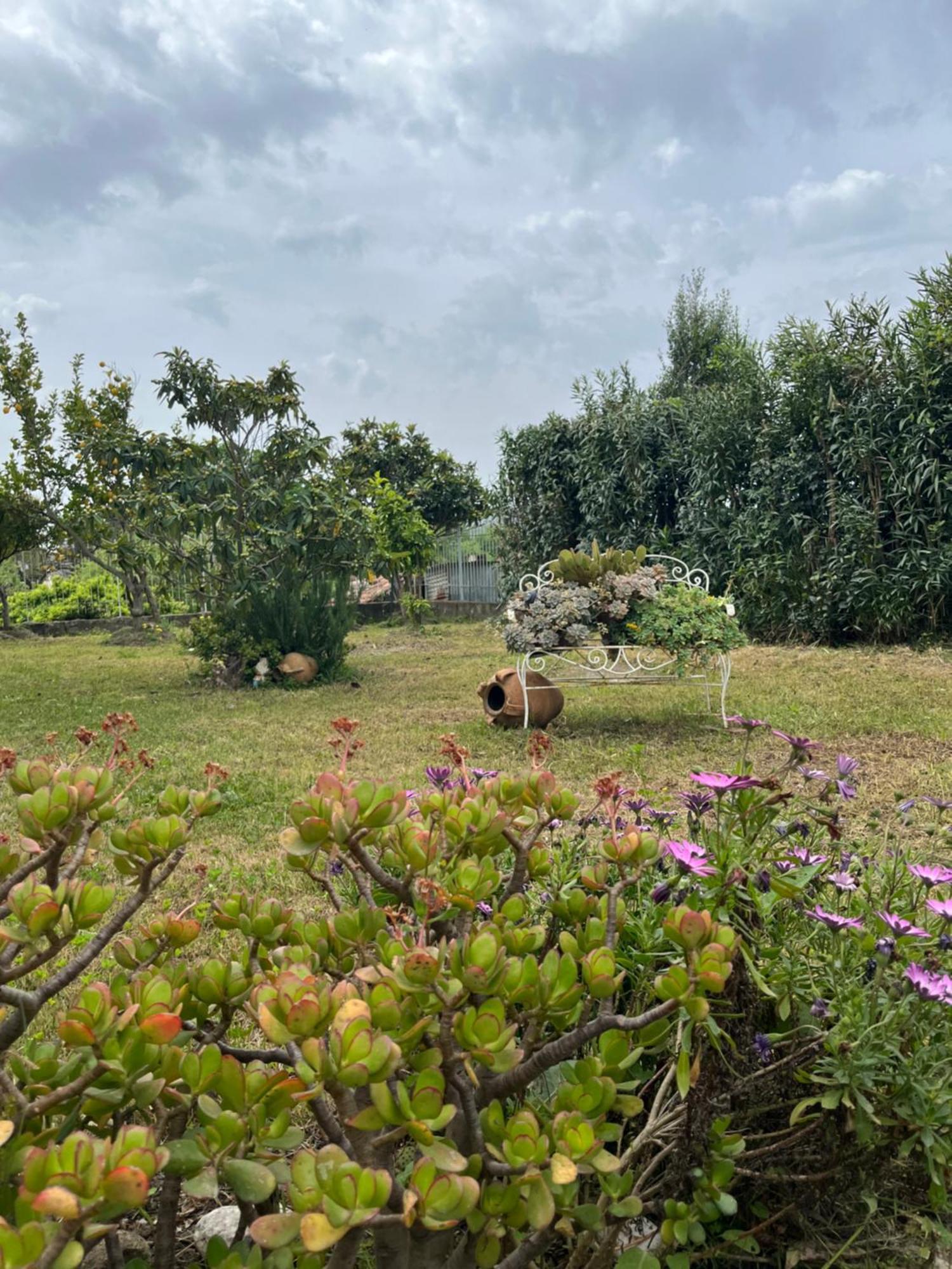 Villa Giardino Degli Oleandri Palinuro Kültér fotó